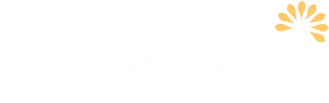 Narayani Logo